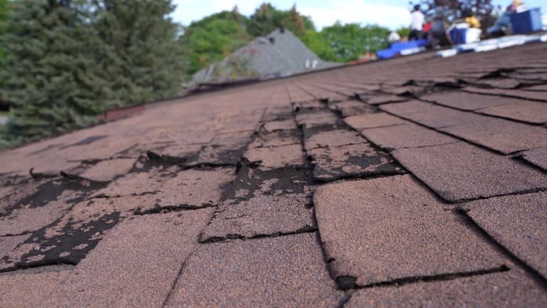 Best Flat Roofing  in Munroe Falls, OH